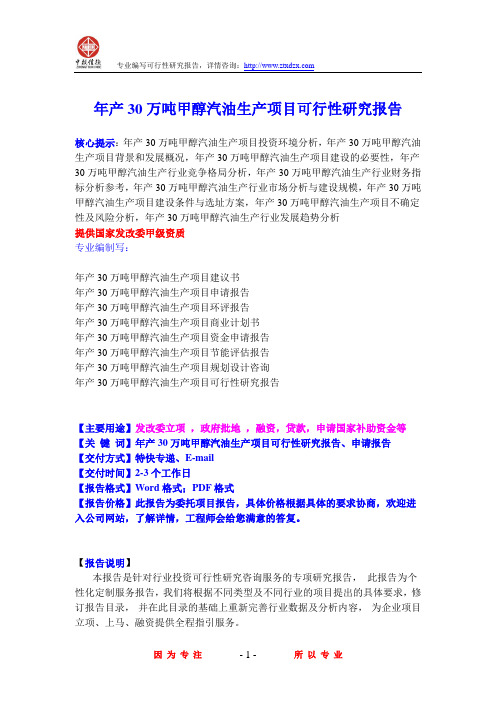 年产30万吨甲醇汽油生产项目可行性研究报告