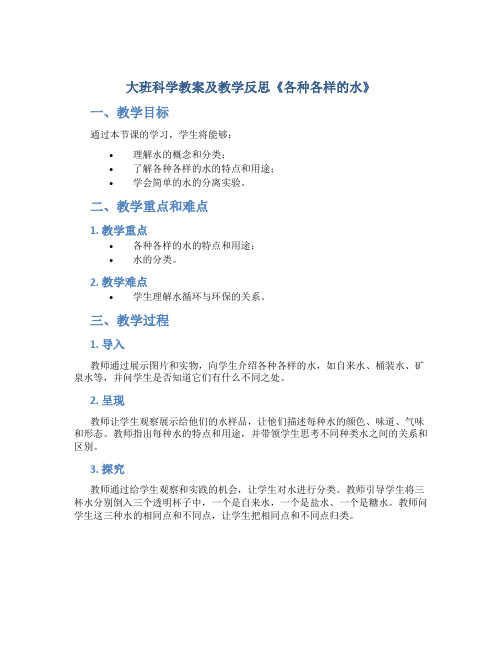 大班科学教案及教学反思《各种各样的水》