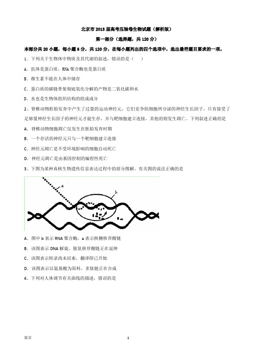 北京市2013届高考压轴卷生物试题(解析版)