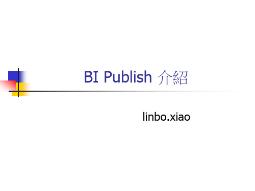 BI publish 介绍