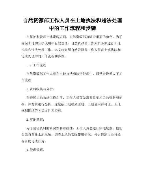 自然资源部工作人员在土地执法和违法处理中的工作流程和步骤