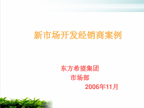 新市场开发经销商案例解析课件演示(15张)