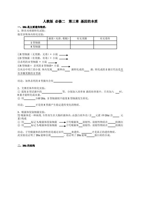 高中生物必修二第三章基因的本质复习