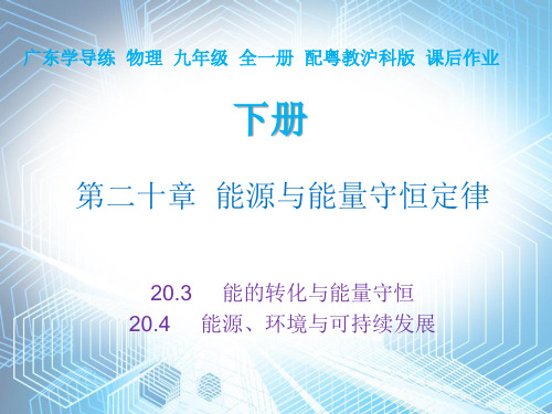 20.3  20.4—2020秋沪粤版九年级物理下册作业课件(共11张PPT)