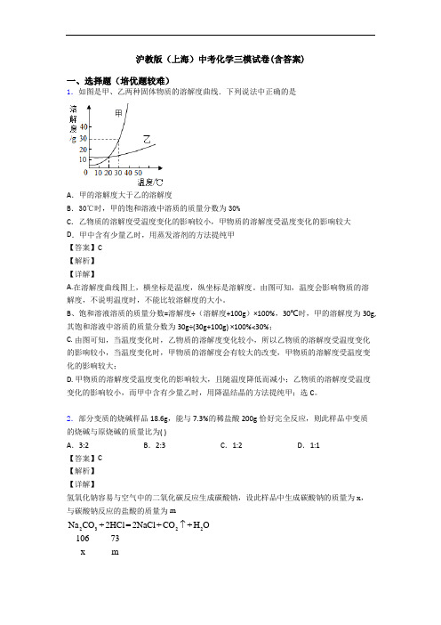 沪教版(上海)中考化学三模试卷(含答案)