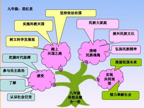 北师大版九年级思想品德知识树课件(共5张ppt)PPT教学课件