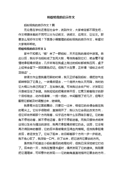 蚂蚁给我的启示作文7篇