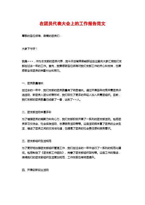 在团员代表大会上的工作报告范文