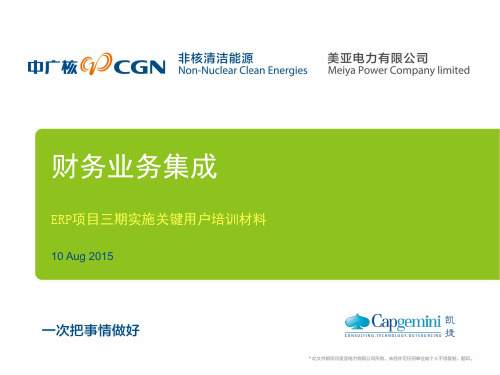 CGNEDC3_FICO_系统实现_财务与业务模块集成方案_VF_20150810