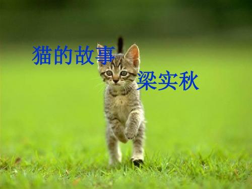 初中语文《猫的故事》(共29张)ppt13