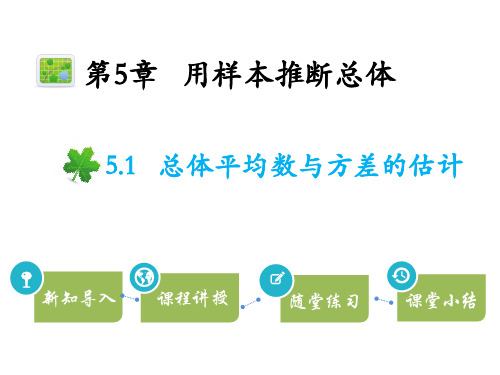 湘教版九年级上册数学教学课件 第5章用样本推断总体 总体平均数与方差的估计