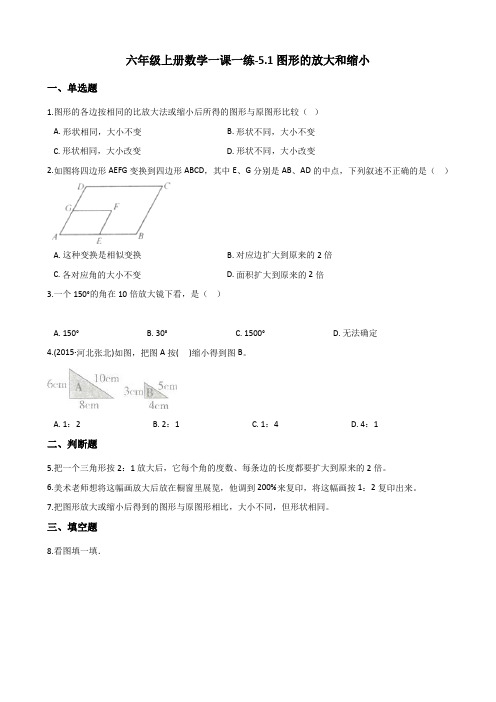 六年级上册数学同步练习5.1图形的放大和缩小 西师大版(含答案)