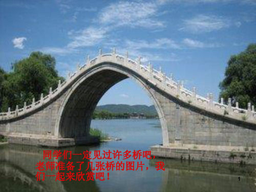 皮巧根桥PPT幻灯片