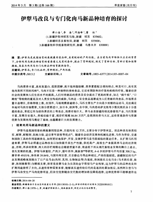 伊犁马改良与专门化肉马新品种培育的探讨