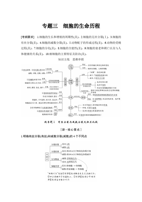 2020高考生物二轮全国1卷专题三 细胞的生命历程