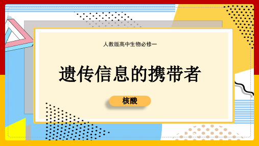 高中生物人教版必修一《遗传信息的携带者核酸》课件