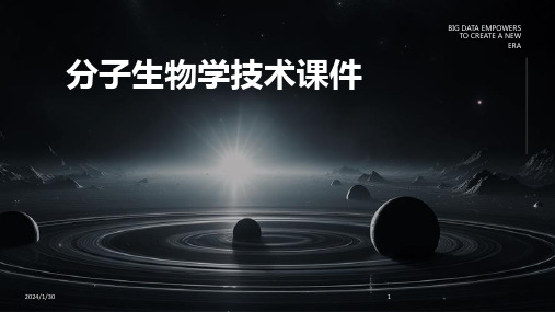 分子生物学技术课件(2024)