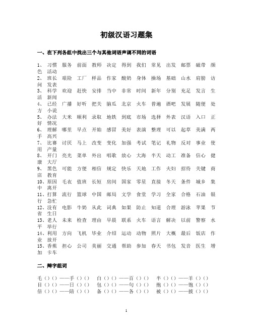 初级汉语习题集