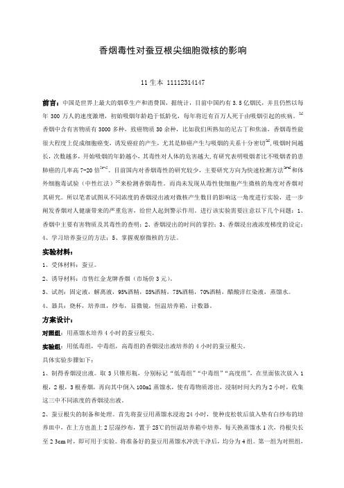 香烟毒性对蚕豆根尖细胞微核的影响