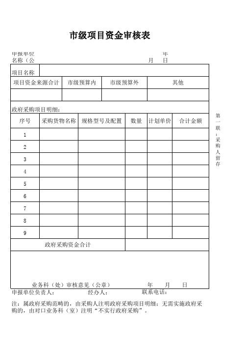 项目资金审核表