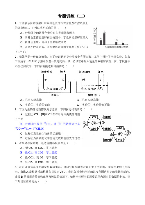 湖北省枝江五中枝江五中2012届高三生物二轮复习专题训练2