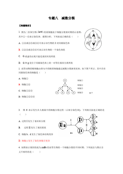 专题8 减数分裂教师版