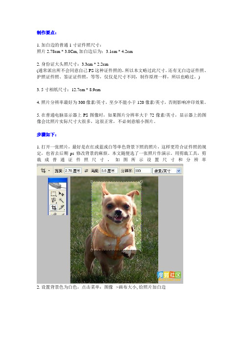 5寸相纸上,快速排版8张1寸证件照
