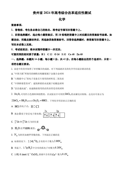 2024年1月贵州普通高等学校招生考试适应性测试化学试题(含答案)