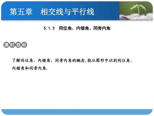 【最新】人教版七年级数学下册第五章《同位角、内错角、同旁内角》公开课课件