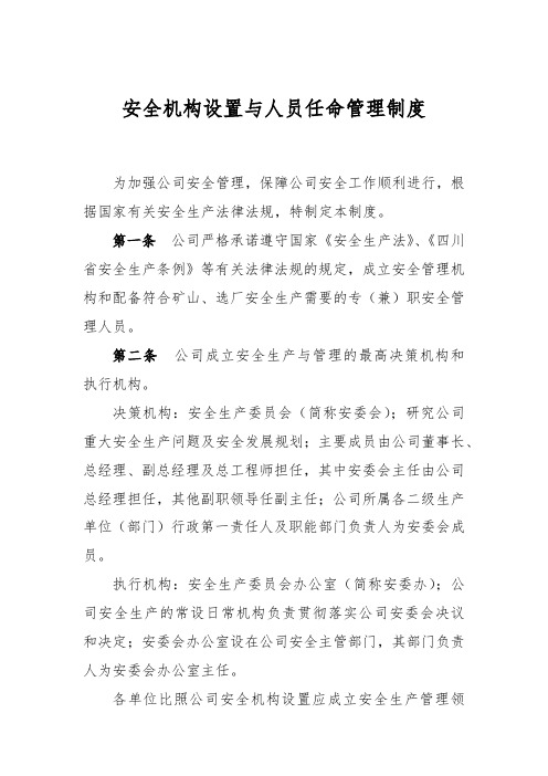 安全机构设置与人员任命管理制度