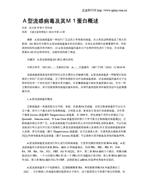 A型流感病毒及其M1蛋白概述