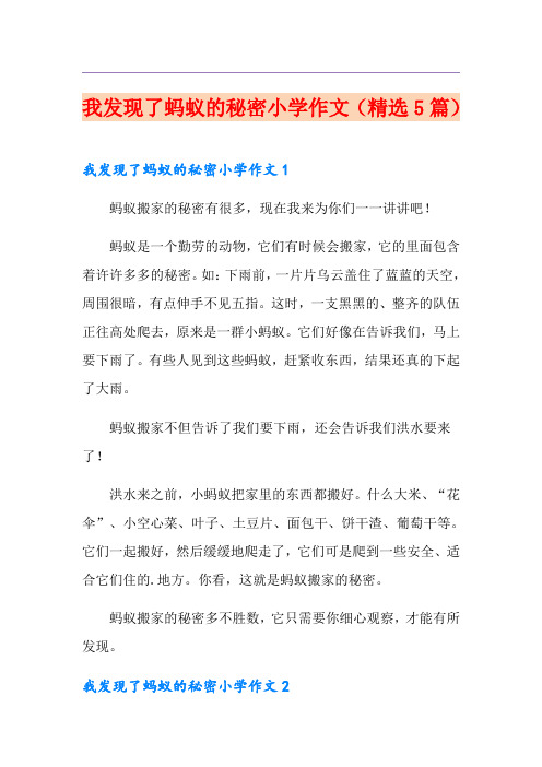 我发现了蚂蚁的秘密小学作文(精选5篇)