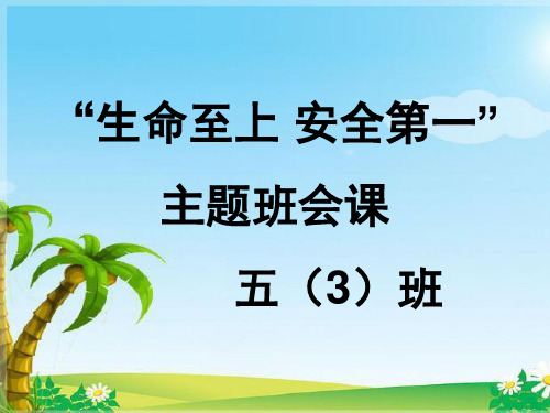 “生命至上 安全第一”安全教育 ppt课件