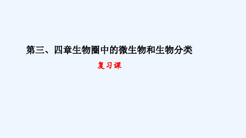 第三四章微生物和生物分类复习课件济南版生物七年级上册