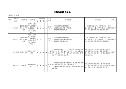 皮带队设备风险清单