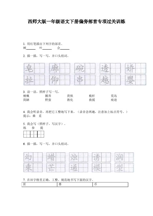 西师大版一年级语文下册偏旁部首专项过关训练