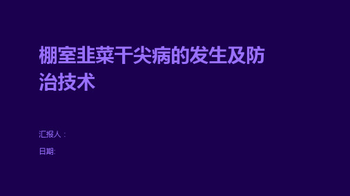 棚室韭菜干尖病的发生及防治技术