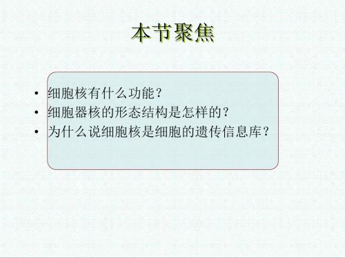 高中生物课件-新人教版高中生物必修13.3《细胞核——系统的控制中心》课件之一 最新