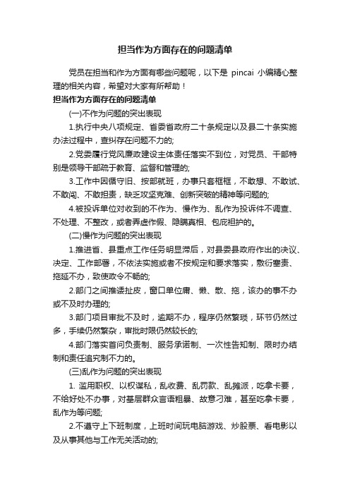 担当作为方面存在的问题清单