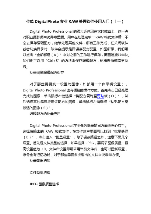 佳能DigitalPhoto专业RAW处理软件使用入门（十一）