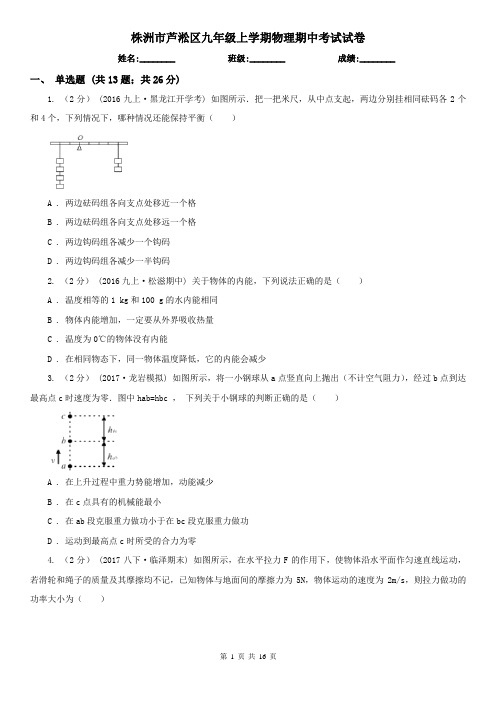 株洲市芦淞区九年级上学期物理期中考试试卷