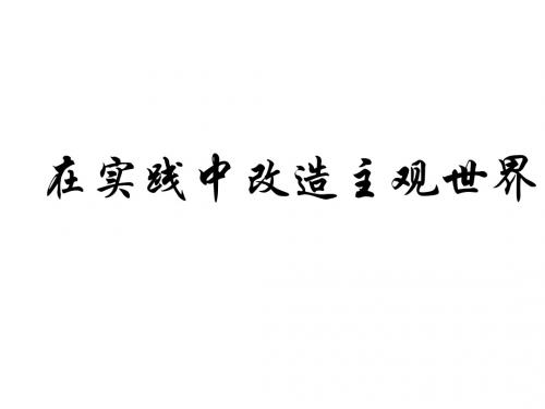 在实践中改造主观世界(2019年9月整理)