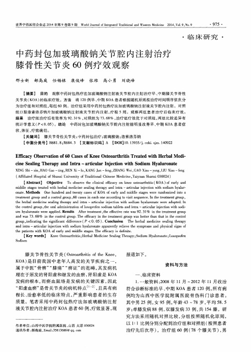 中药封包加玻璃酸钠关节腔内注射治疗膝骨性关节炎60例辽效观察