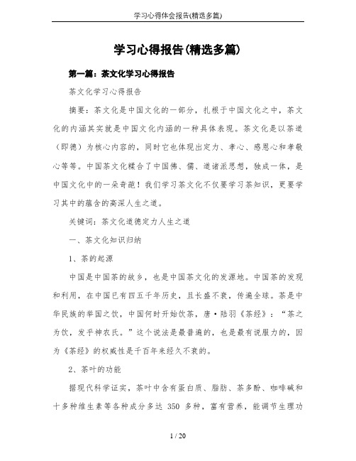 学习心得体会报告(精选多篇)