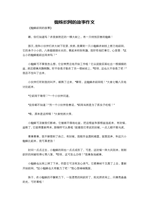 蜘蛛织网的故事作文