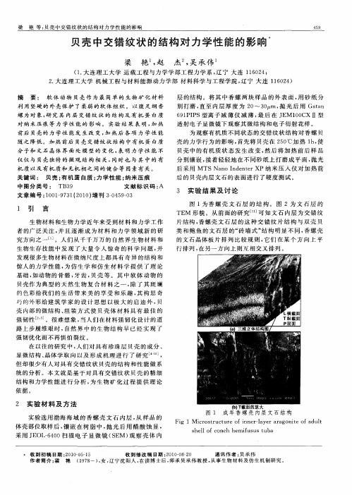 贝壳中交错纹状的结构对力学性能的影响