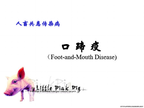 口蹄疫