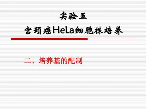 05实验五 宫颈癌HeLa细胞的培养nj(2)改