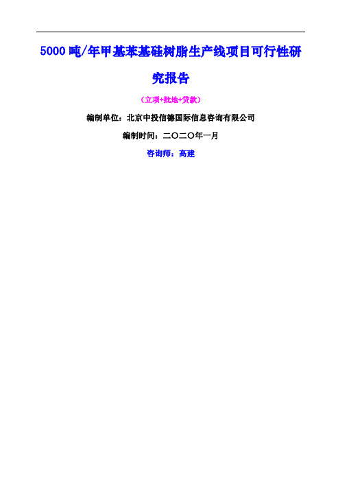 吨甲基苯基硅树脂生产线项目可行性研究报告