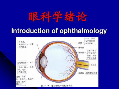 眼科学绪论